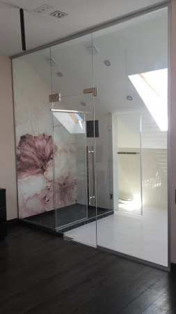 ДВЕРЬ ЦЕЛЬНОСТЕКЛЯННАЯ МАЯТНИКОВАЯ